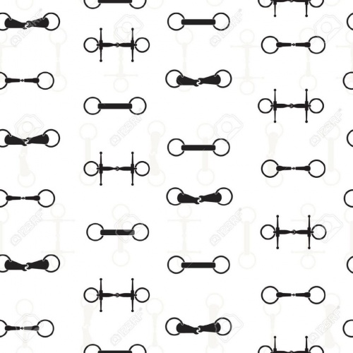 Bit Accessories