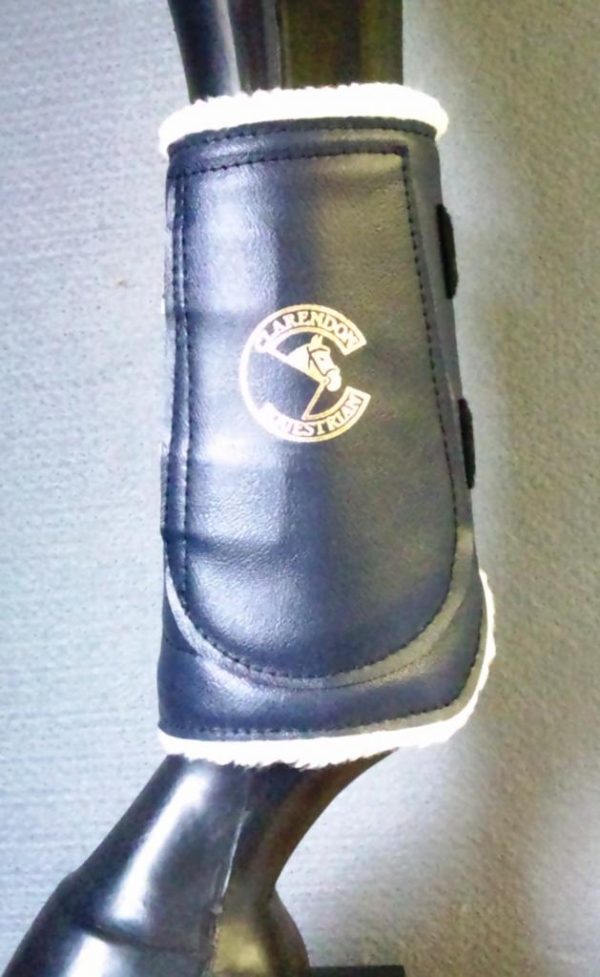 Clarendon Brushing/Schooling Boot