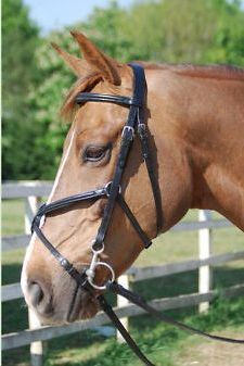 EQvvs Althorpe Grackle Bridle - BROWN COB (7650)