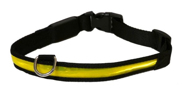Rosewood Flashing HiViz Dog Collar - Large