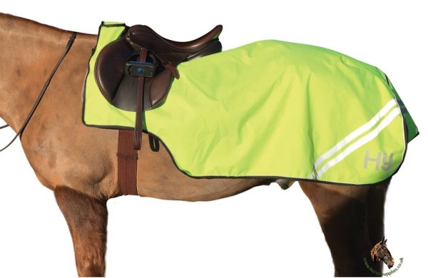 HyVIZ Reflector Exercise Sheet - Image 2