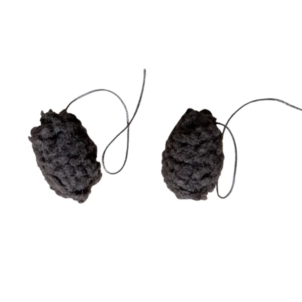 Ear Plugs for Horses