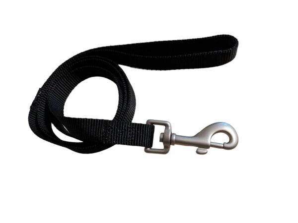 Nylon Webbing Dog Lead 120cm Long