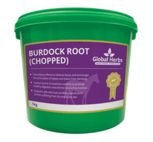 Burdock Root
