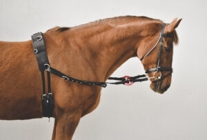 Continental Pattern Side Reins