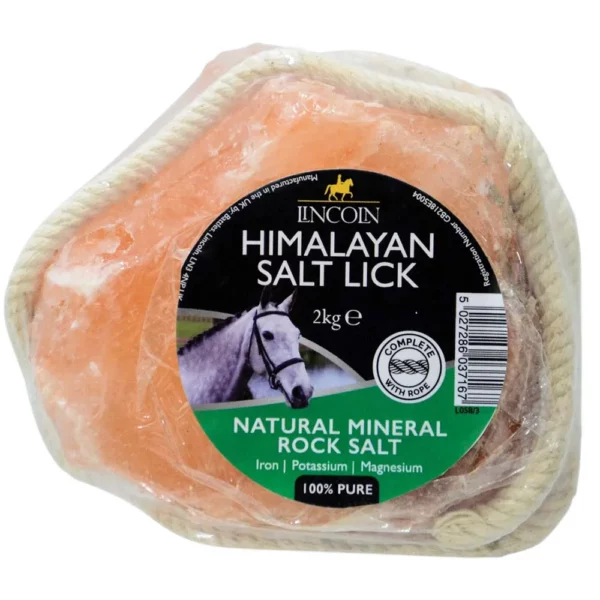 Himalayan Salt Lick